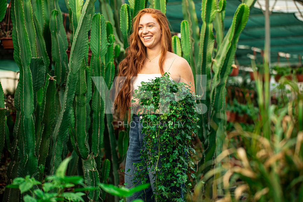 02-plant-green-environment-broumana-yep-photography-gabrielsphotography yep-photography-plants-showroom-with-greenery-sunlight-and-vibrant-colors-showcasing-indoor-plants